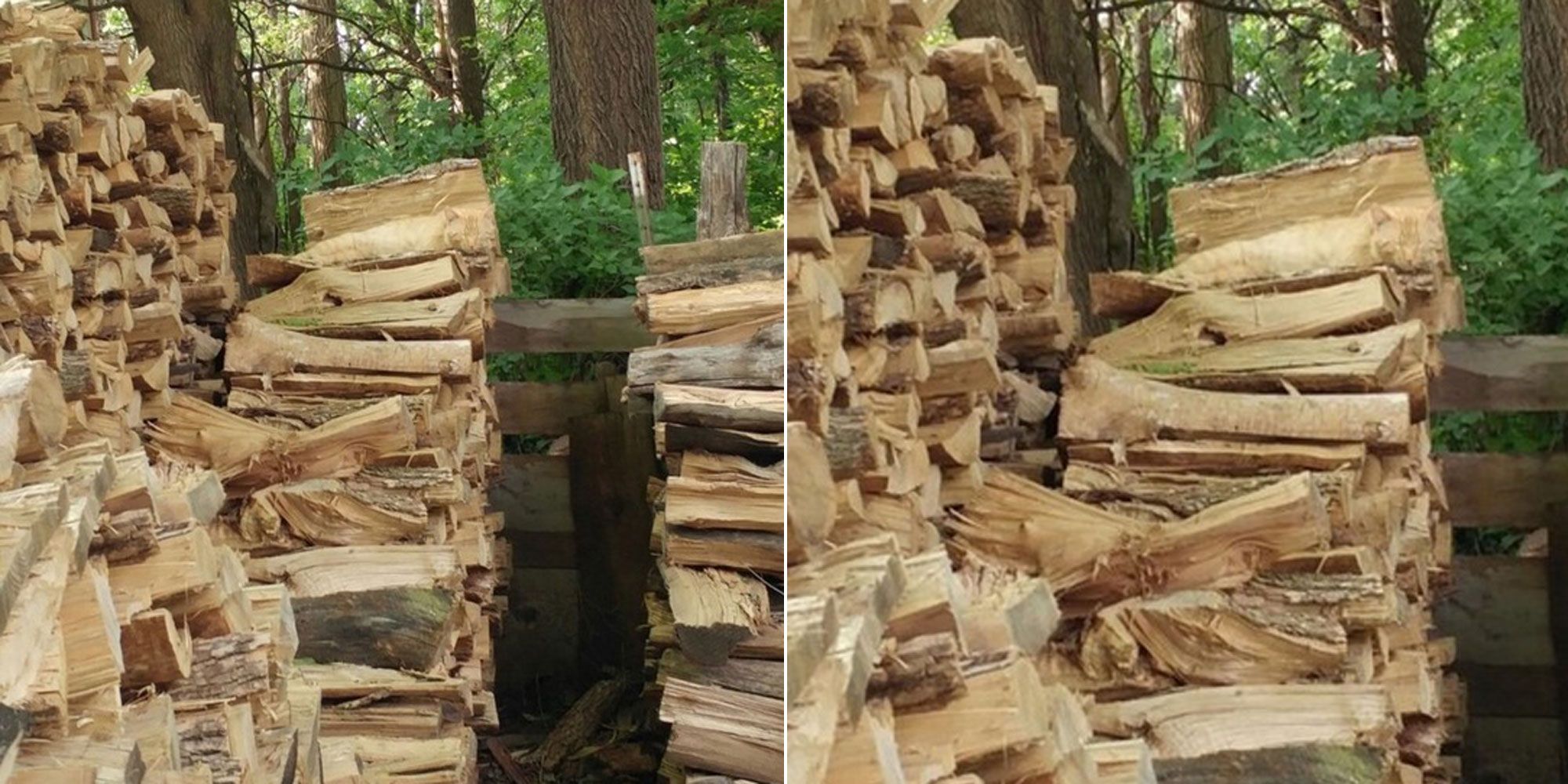 Голая мамка у охапки дров