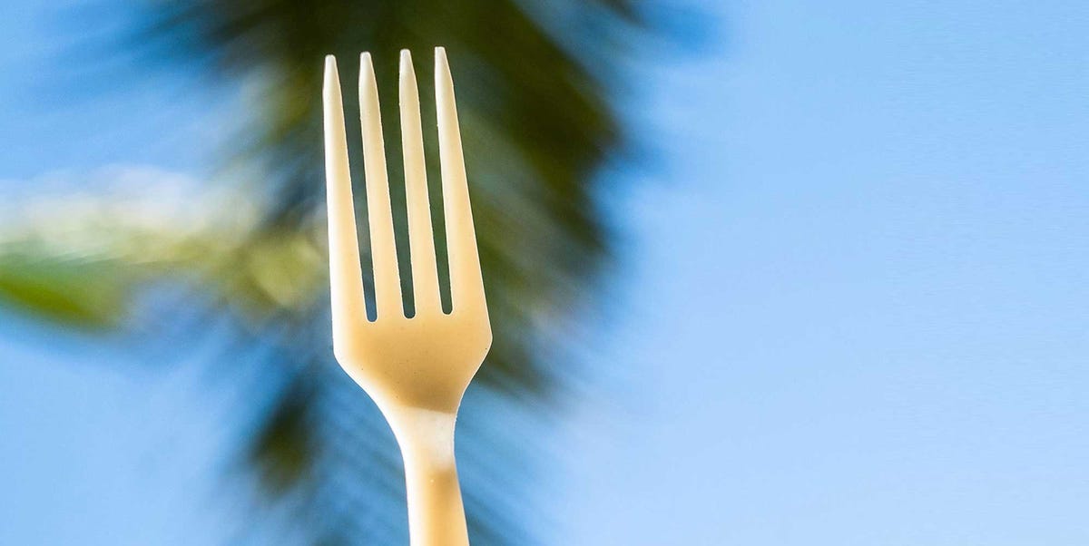 Tiny Ocean Microorganisms Could Kill Your Plastic Fork 1 Tiny Ocean Microorganisms Could Kill Your Plastic Fork