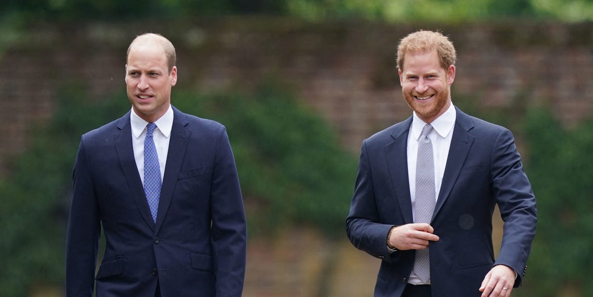 Prince William and Prince Harry Reunite for Princess Diana’s Statue Unveiling Amid Months of Tension 1 Prince William and Prince Harry Reunite for Princess Diana’s Statue Unveiling Amid Months of Tension