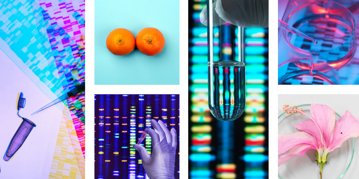 Genetic Testing Saves Lives. So Why Aren’t More Women of Color Doing It? - NewsOpener Genetic Testing Saves Lives. So Why Aren’t More Women of Color Doing It?