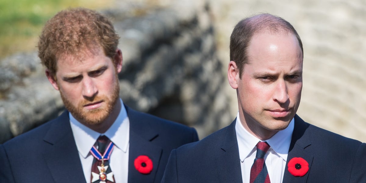 Turns Out Prince Harry and Prince William Still "Aren't Talking That Much" 1 Turns Out Prince Harry and Prince William Still "Aren't Talking That Much"