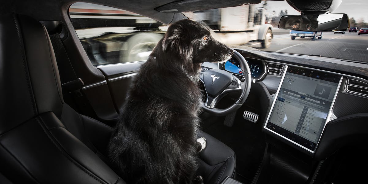 Do You Know How Well Your Car Drives Itself? - NewsOpener Do You Know How Well Your Car Drives Itself?