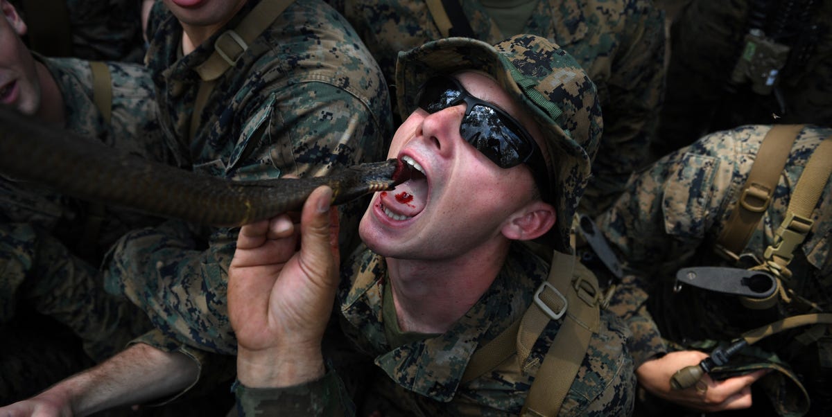 Marines Used to Drink Cobra Blood During Military Exercises. Not Anymore. 1 Marines Used to Drink Cobra Blood During Military Exercises. Not Anymore.