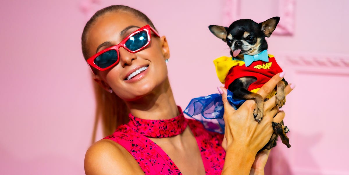 Wow, Um, Paris Hilton's Net Worth Is About to Be Even Higher Than Her Parents' 1 Wow, Um, Paris Hilton's Net Worth Is About to Be Even Higher Than Her Parents'