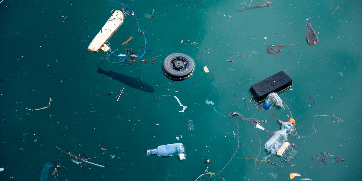 How and Why Microplastics Invade Our Everyday Lives 1 How and Why Microplastics Invade Our Everyday Lives