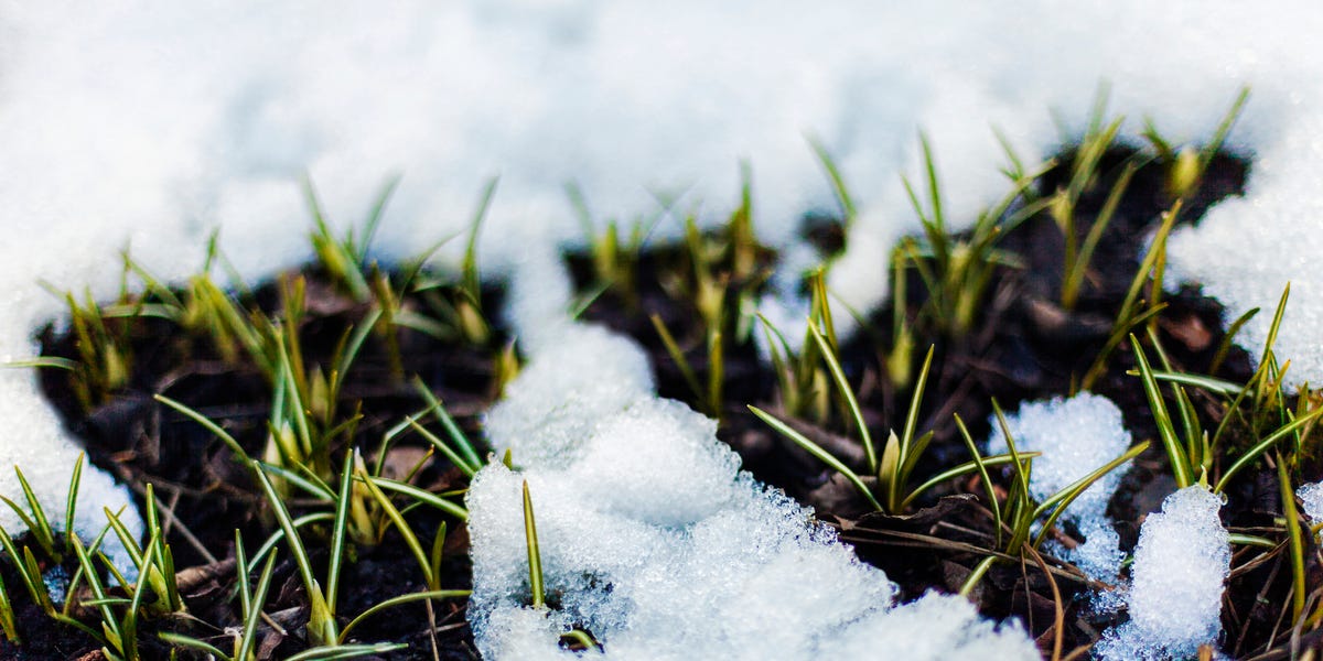 6 Steps To Prep Your Lawn for Spring 1 6 Steps To Prep Your Lawn for Spring