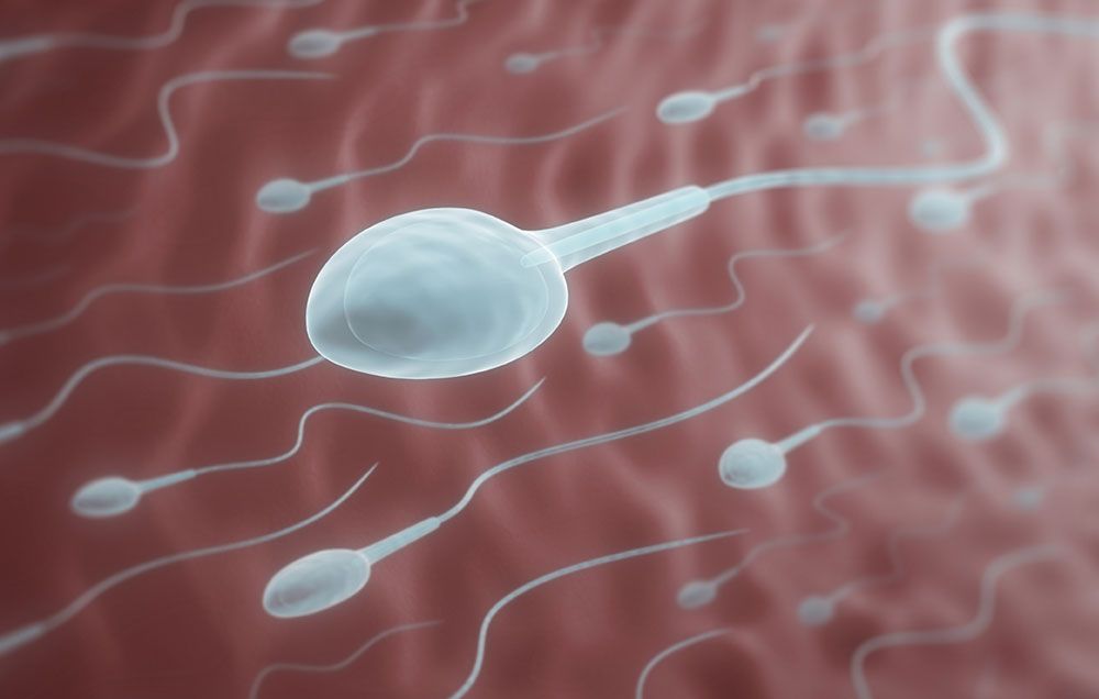 Lifespan of sperm in the open