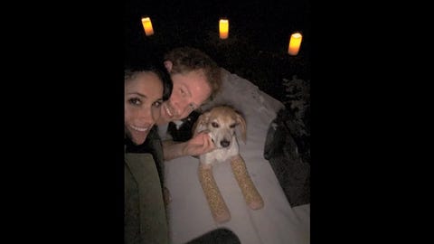 prince harry and meghan markle with beagle boy after proposal prince harry and meghan markle with beagle boy after proposal
