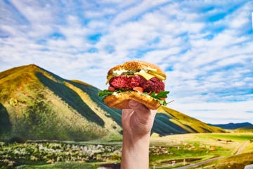 the wylde beet burger
