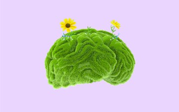 a green textured representation of a brain adorned with flowers set against a light purple background