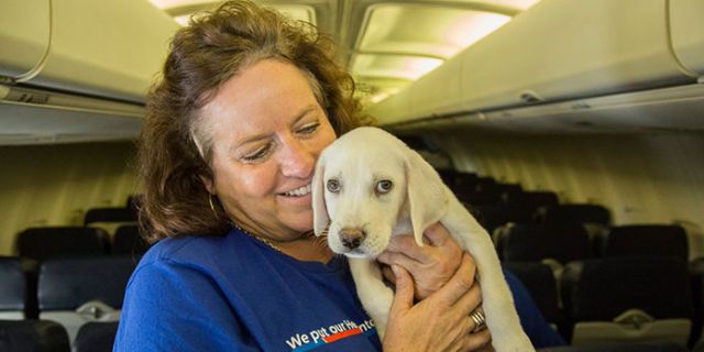 Animal Abusers Now Need to Register Like Sex Offenders in Some States recommendations Animal Abusers Now Need to Register Like Sex Offenders in Some States recommendations