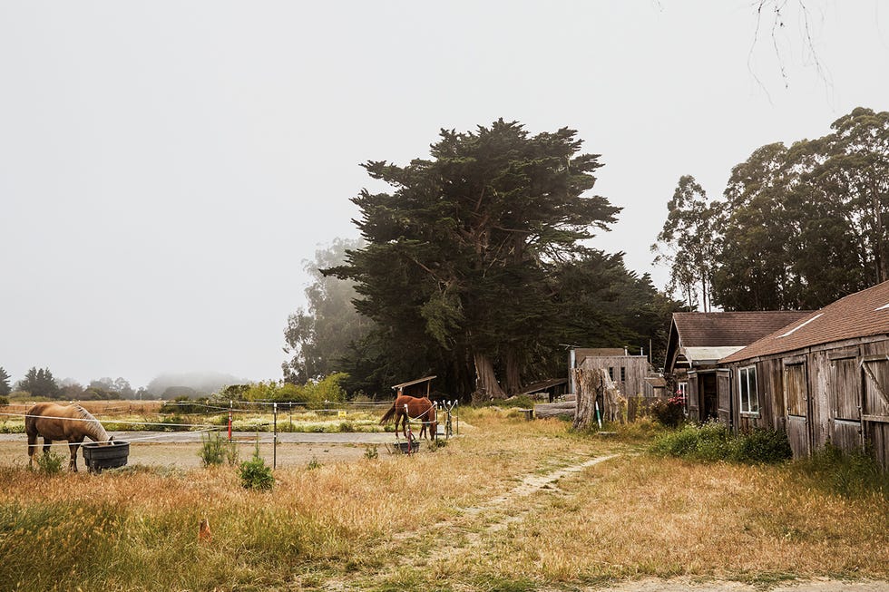 Vanishing Point Ranch