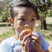 ata081317fruit_img02 Eight-year-old volunteer Sydney Tran, from San Gabriel, enjoys an orange.