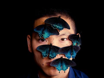 ATA050118butterlies_img01