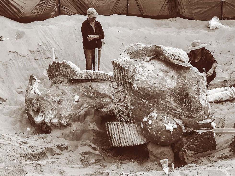 Volunteers excavated a 300-pound plaster sphinx last November from the sands of the Guadalupe-Nipomo Dunes ­— an artifact of a sprawling movie set built in 1923 for Cecil B. DeMille’s “The Ten Commandments.”
