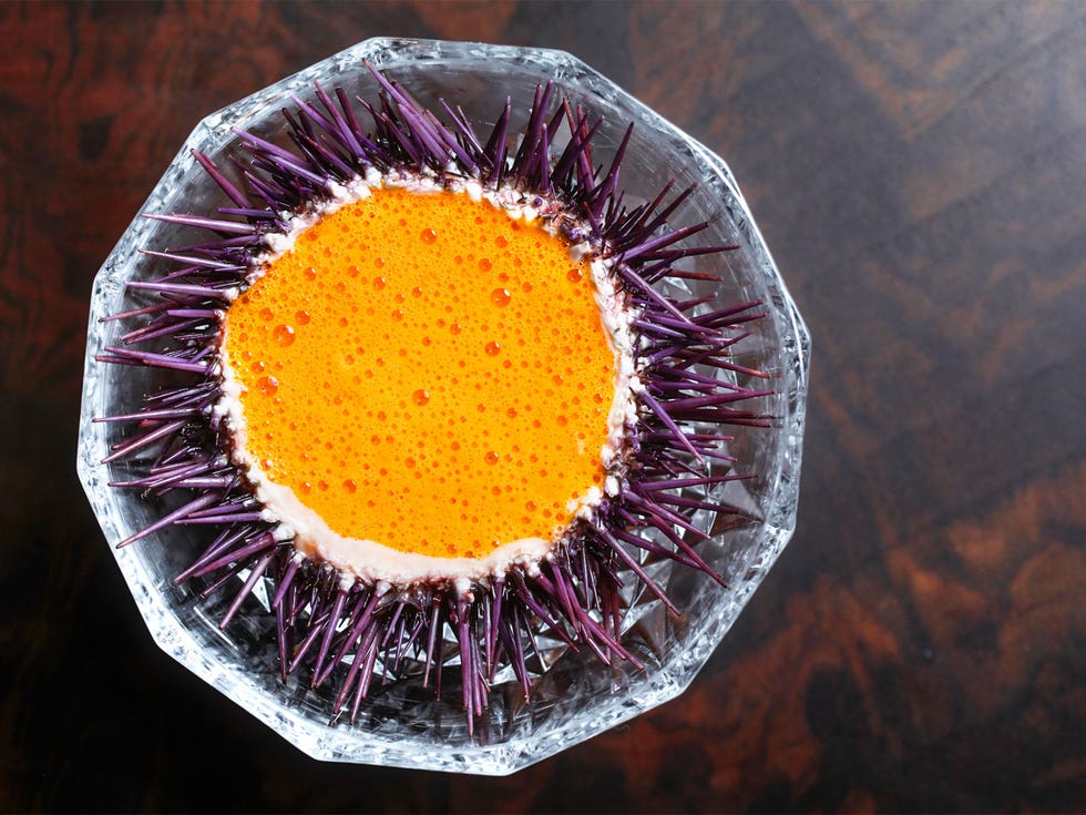 The shell of a sea urchin acts as a bowl for seafood with cauliflower foam and lobster sauce.