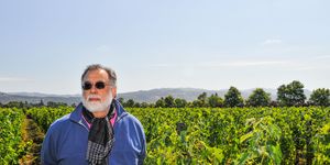 With his movie-making years behind him, Francis Ford Coppola is turning his attention to his next production: reviving the storied Inglenook winery in Rutherford. Previous owners had cut prices and quality, and Coppola is having parts of the vineyard replanted and focusing on upscale, better-quality wines, such as Rubicon.