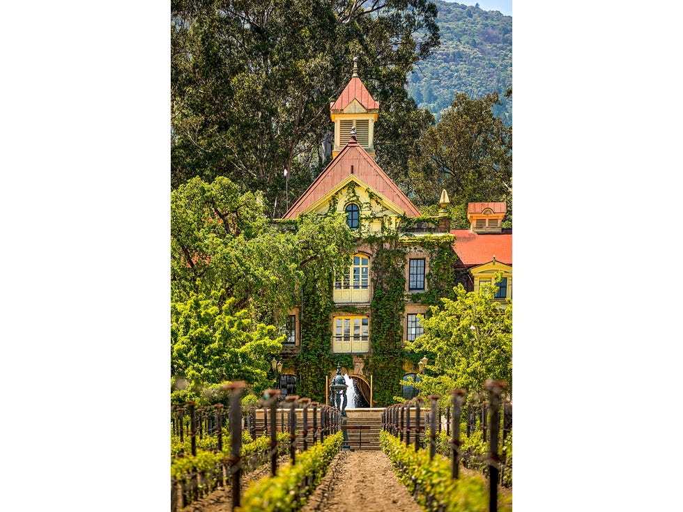 The Inglenook Chateau, built by founder Gustave Niebaum and restored by Francis Ford Coppola, is symbolic of Coppola’s efforts to return Inglenook to winemaking prominence. The chateau includes a small museum celebrating Coppola’s movies like “The Godfather” trilogy and “Apocalypse Now.”