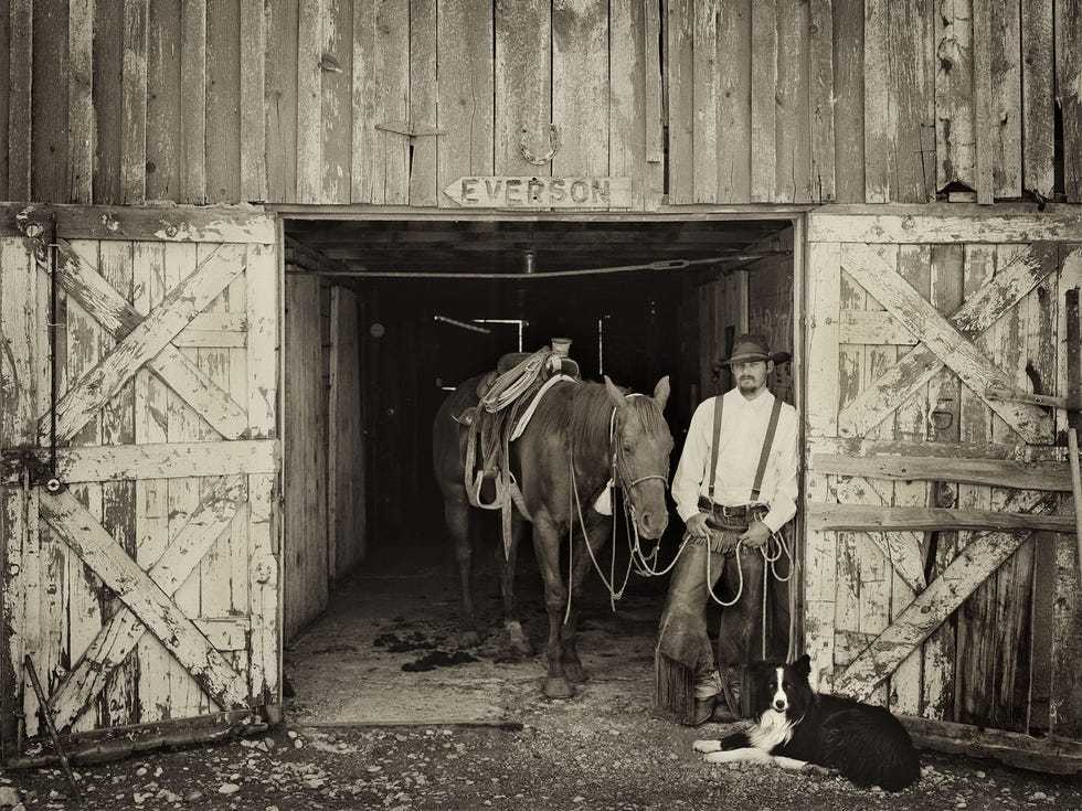 William Faulk with his horse, Chester, and border collie, Newt, near Denton, Mont., 2014.