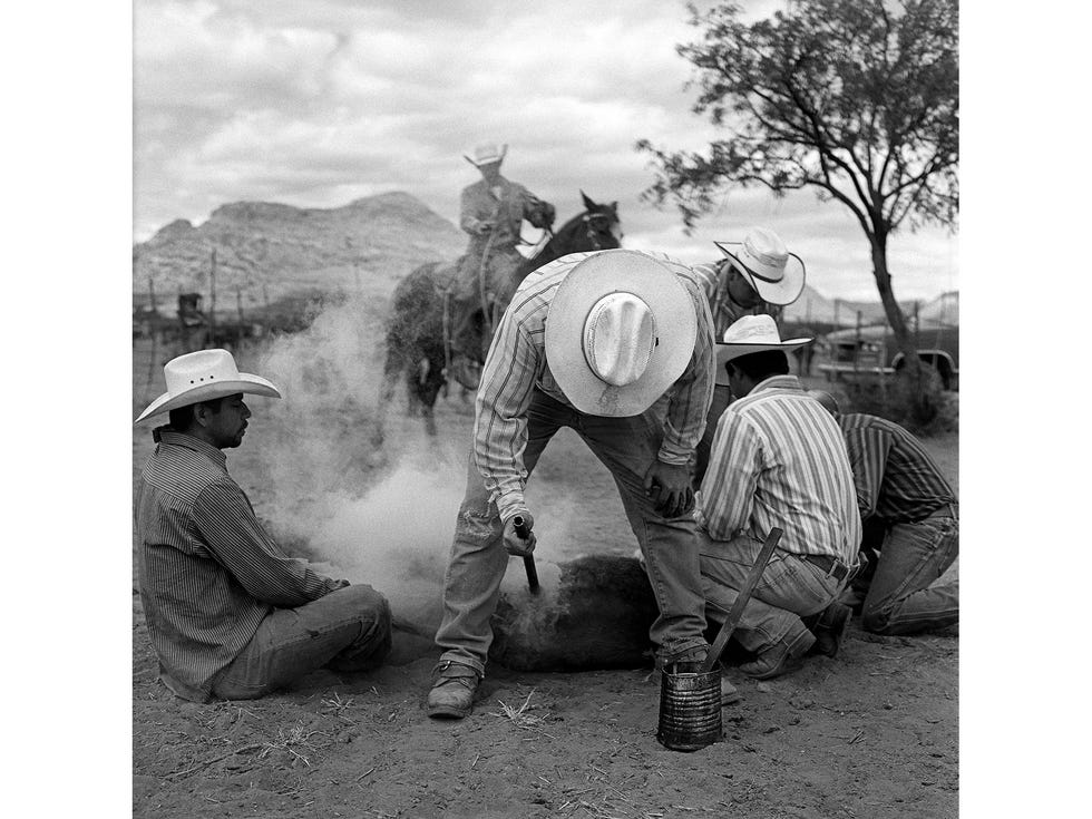 Jesse Hooker Davis, Spring Roundup, Sierra Bonita Ranch, Graham County, Upper Sulphur Springs Valley, northwest of Willcox, Ariz., 2011.