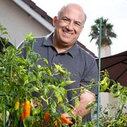 ATA040219aji_img01 Javier van Oordt cultivates ají chiles in his backyard garden.