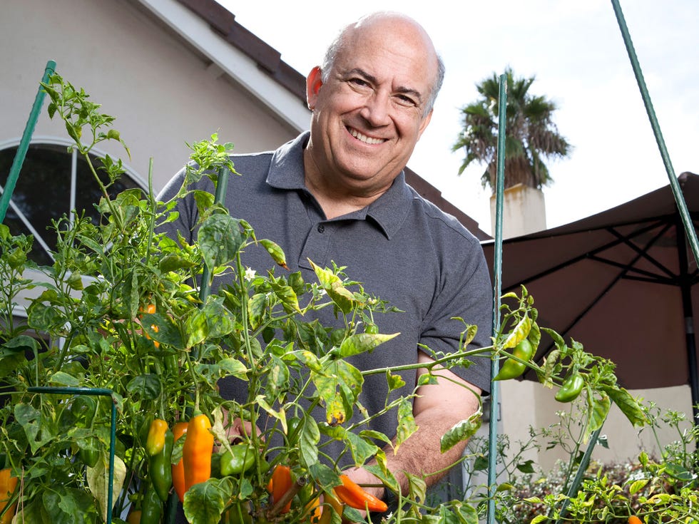 Javier van Oordt cultivates ají chiles in his backyard garden.