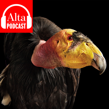 11171048-podcast.png