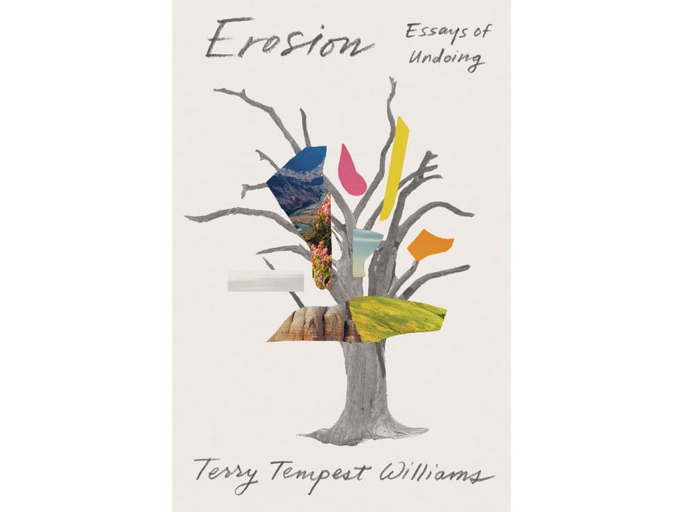 Erosion: Essays of Undoing, by Terry Tempest Williams, Farrar, Straus and Giroux/Sarah Crichton Books, 336 pages, $27