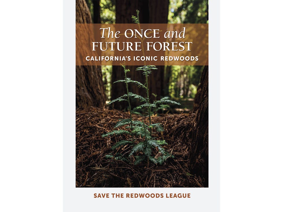 ATA100119redwoods_img01