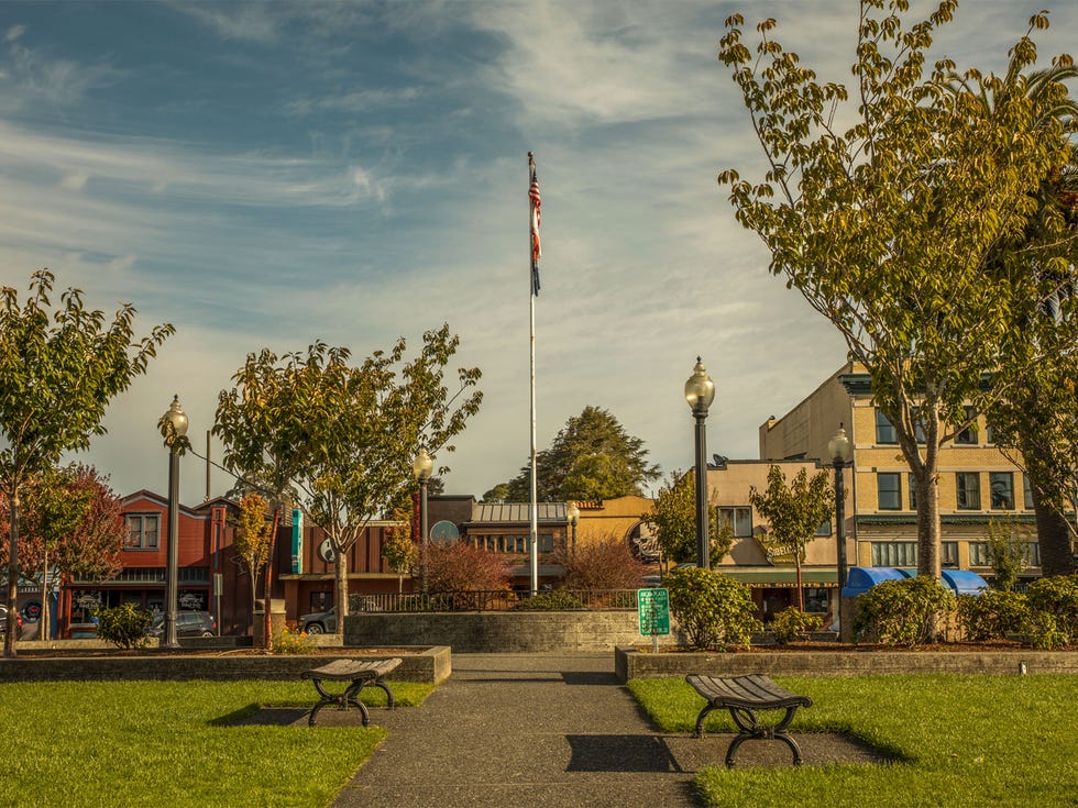 A statue of President William McKinley was removed from the center of the Arcata Plaza last year and a flagpole was erected in its place.