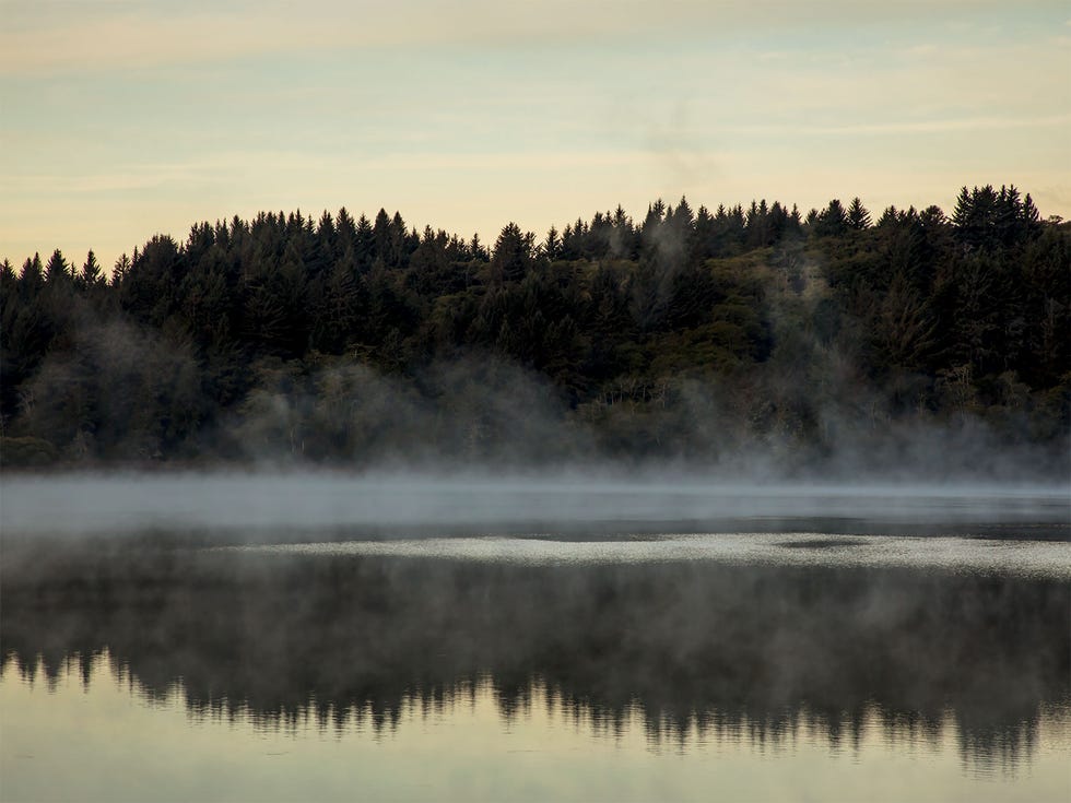 Stone Lagoon runs along the Pacific Coast in Humboldt County, separated from the ocean by a sandbar that is more than half a mile long.