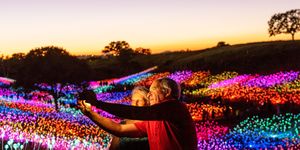 Two visitors snap a selfie in the glow of Bruce Munro’s sparkling installation.