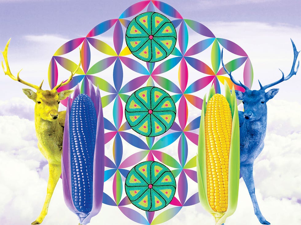 The corn and deer in North (Our Sacred Ancestors) represent Edgar Fabián Frías’s Wixárika heritage.