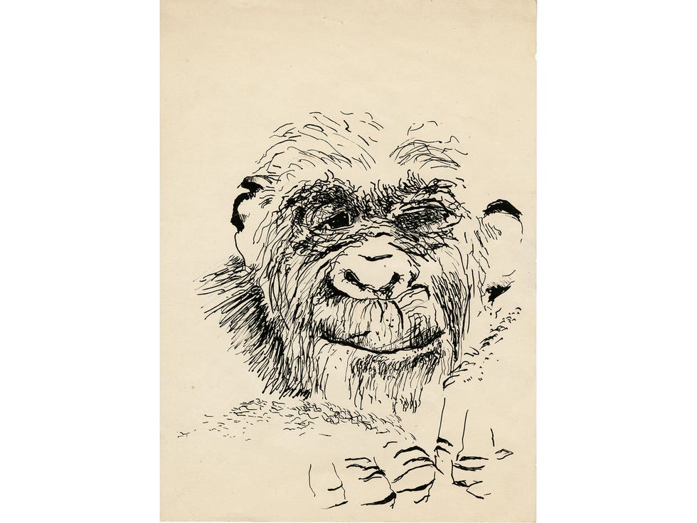 Paul McCarthy’s Self-Portrait.