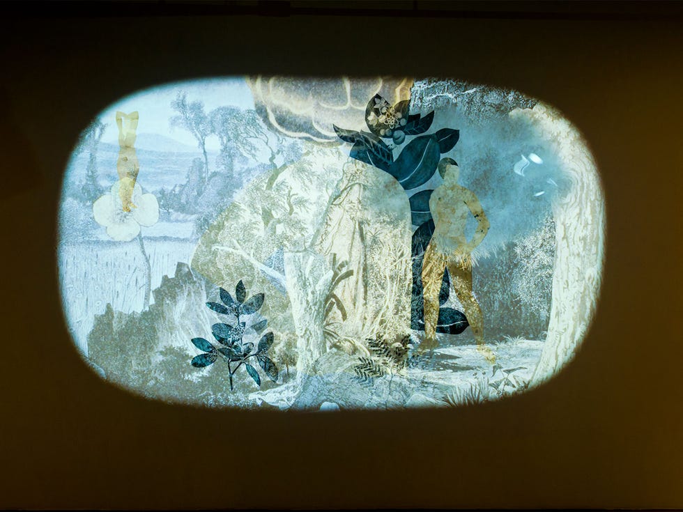 Stas Orlovski’s Chimera utilizes charcoal, ink, Xerox transfer, and collage. The result is animated and then projected onto museum walls.