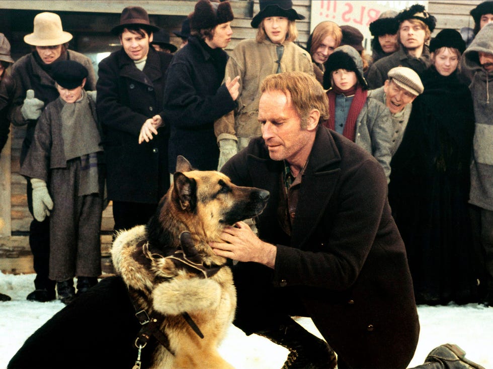 THE CALL OF THE WiLD Harrison Ford Dog Jack London Alaska LARGE