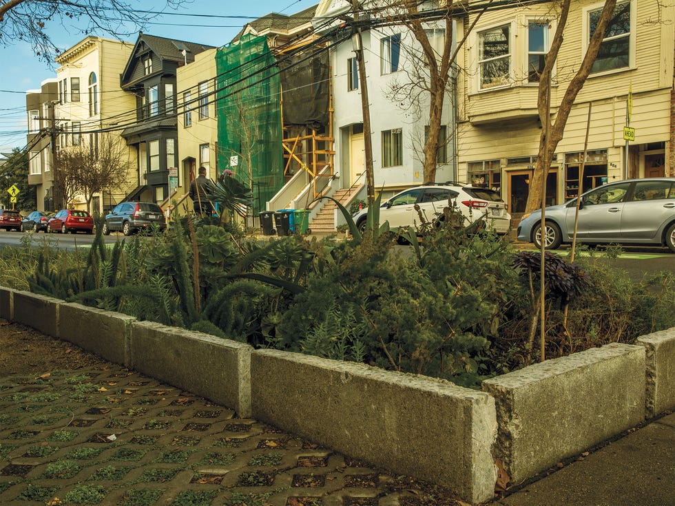Sidewalk gardens maintained by the green benefit district typically feature a diversity of plants.