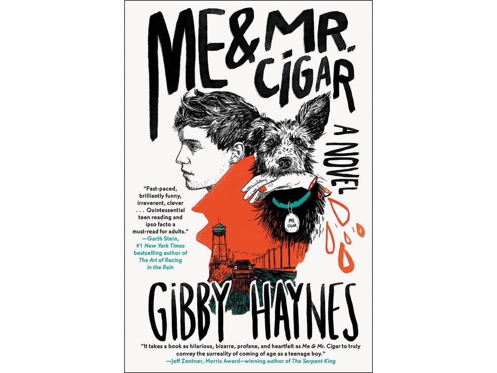 Me & Mr. Cigar: A Novel by Gibby Haynes