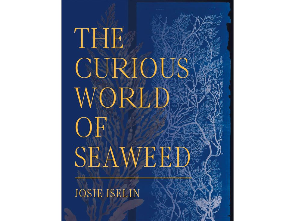 The Curious World of Seaweed, by Josie Iselin (Heyday, 256 pages, $35).