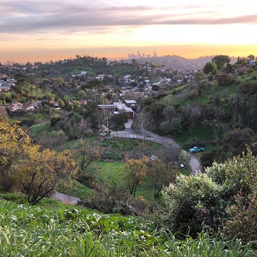 ATA042020kuipers_img02 A photo of Angeles skyline and the author's farm (just to the left of blue truck) from a hilltop in Glassell Park.