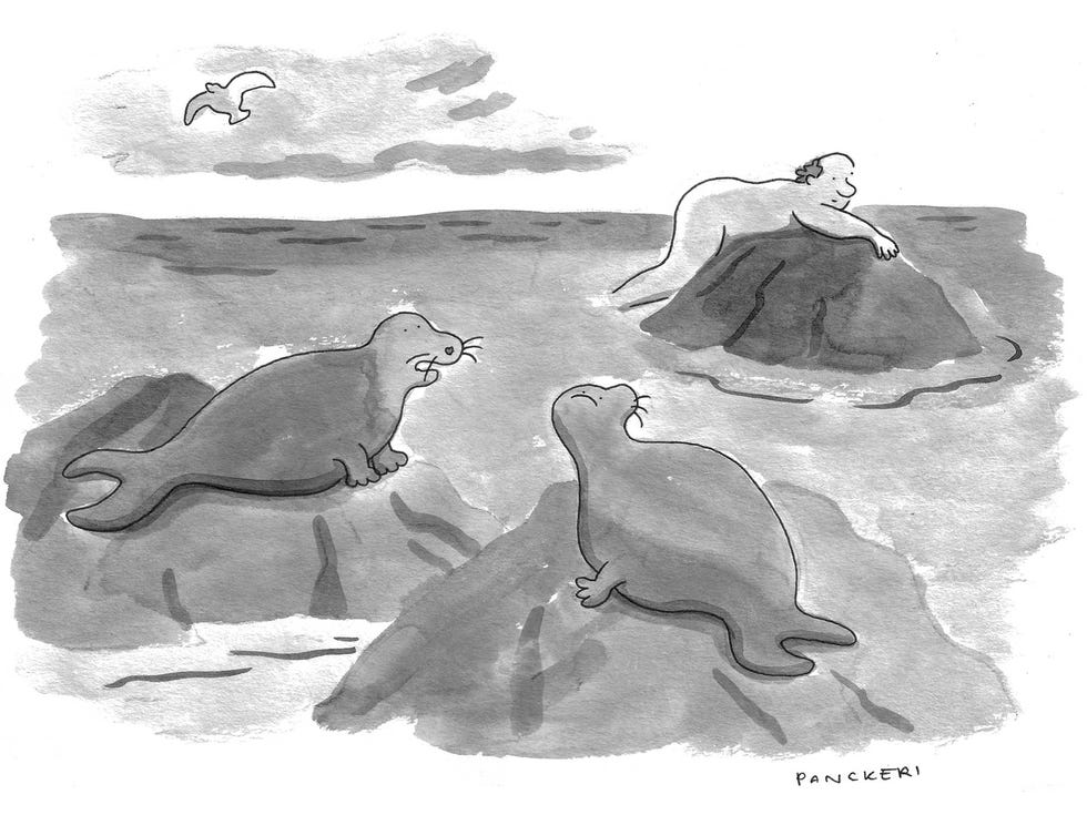 “oh, that’s dave—he’s cool”