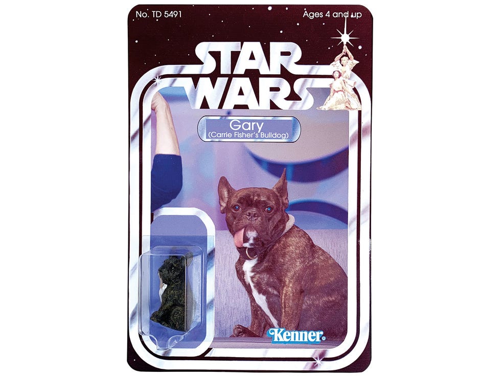 In Fisher’s later years, her French bulldog, Gary, was always at her side to alleviate the symptoms of her bipolar disorder. A Star Wars fan with an artistic bent created this tribute to the adorable service animal that had aided her.