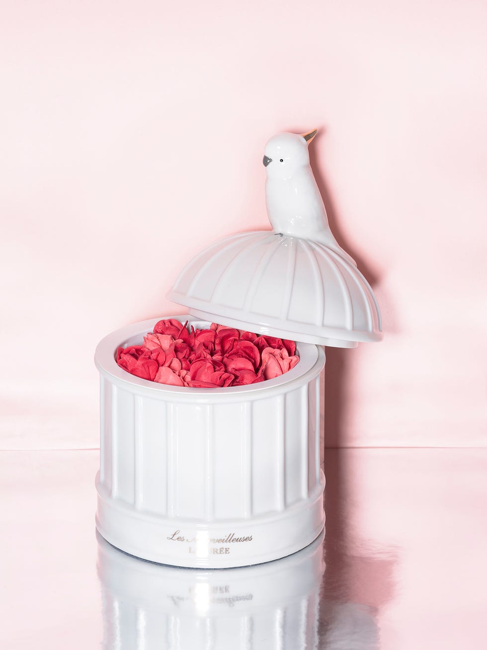 Pink, Red, Peach, Bird, Cylinder, Artificial flower, Coquelicot, Still life photography, Lid, Beak, 