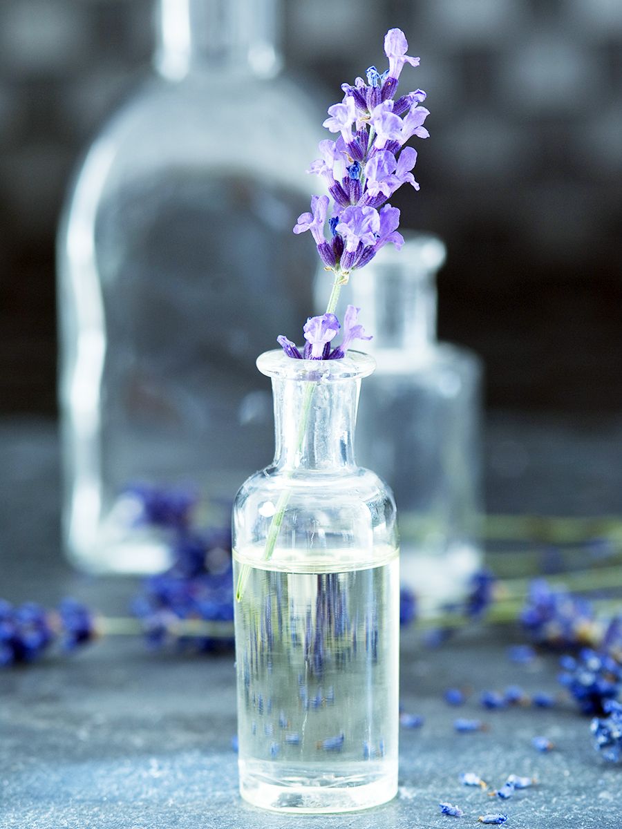 Fluid, Blue, Liquid, Glass, Purple, Lavender, Flower, Majorelle blue, Drinkware, Aqua, 