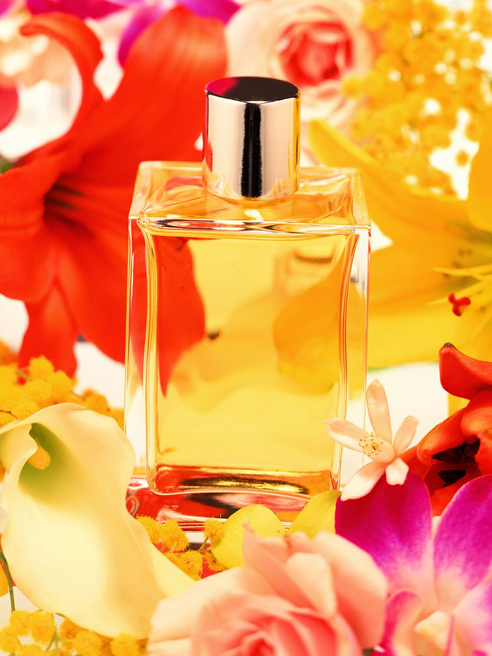 Perfume, Petal, Orange, Flower, Still life, Liquid, Material property, Still life photography, Plant, Cosmetics, 