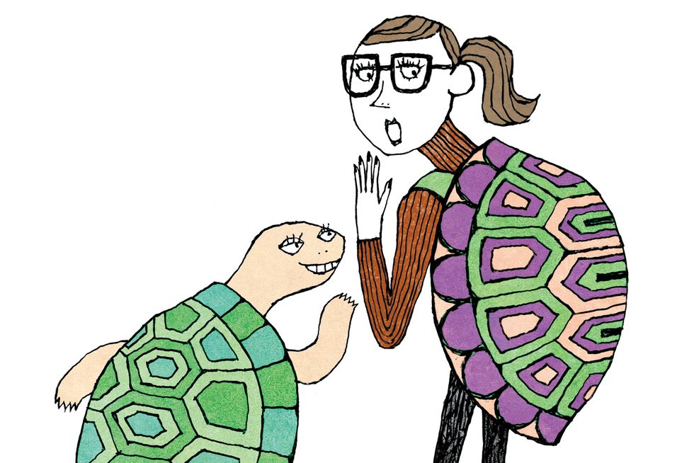 Turtle, Tortoise, Reptile, Illustration, Graphics, Drawing, Animation, Galápagos tortoise, Sea turtle, 