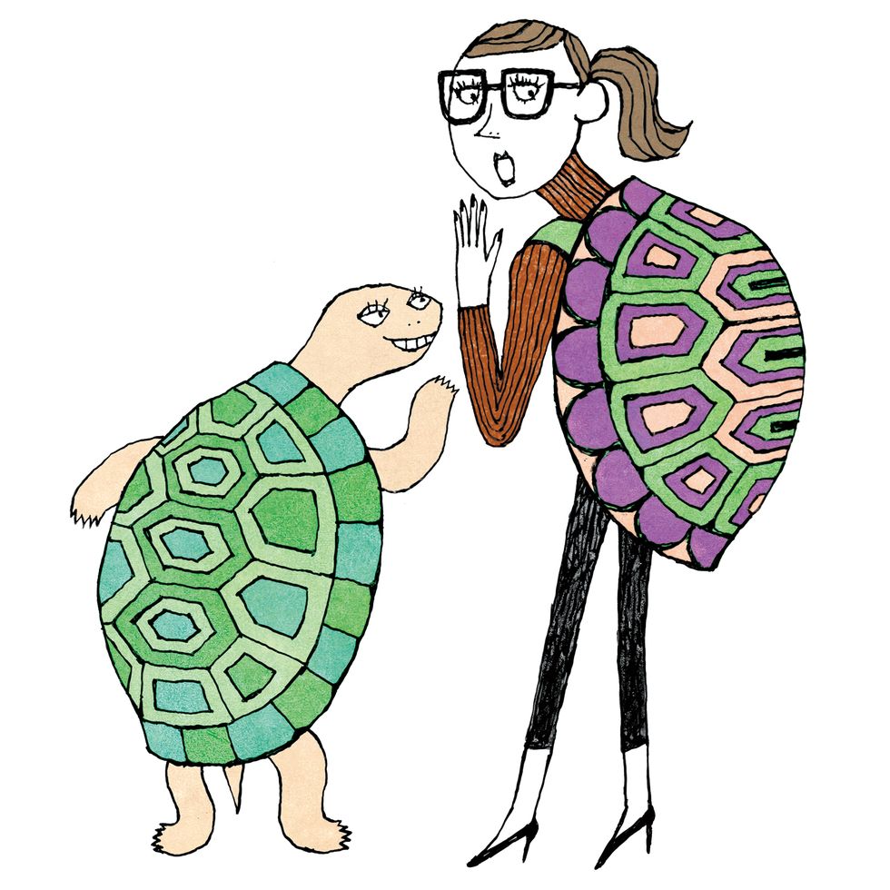 Turtle, Tortoise, Reptile, Illustration, Graphics, Drawing, Animation, Galápagos tortoise, Sea turtle, 