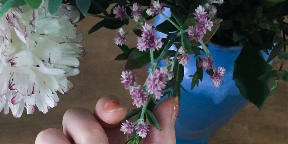 Hand, Flower, Lilac, Finger, Plant, Cut flowers, Nail, Spring, Vase, Gesture, 