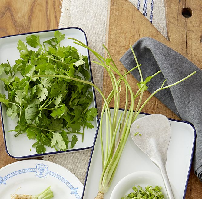 Ingredient, Leaf vegetable, Dishware, Produce, Vegetable, Fines herbes, Herb, Kitchen utensil, Condiment, Plate, 