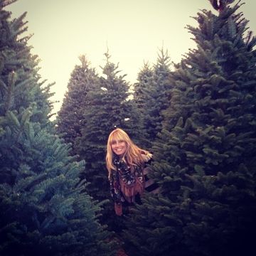 Winter, Evergreen, Larch, Pine family, Long hair, Boot, Conifer, Spruce, Christmas decoration, Temperate coniferous forest, 